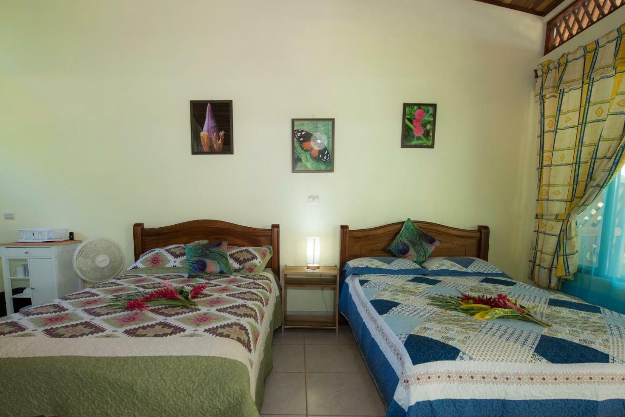 Hotel Sunshine Caribe Puerto Viejo de Talamanca Exterior foto